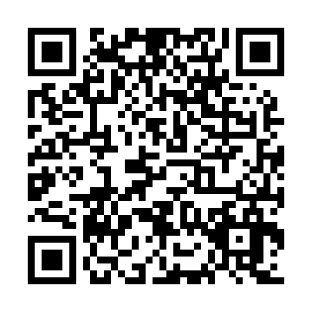 QR code for plate WO6-M367