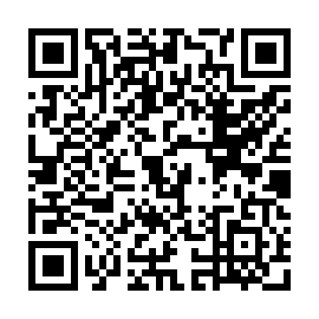QR code for WO9Z017