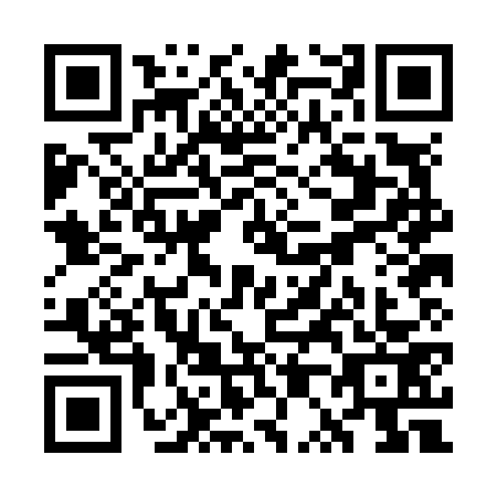 QR code for WP0-N733