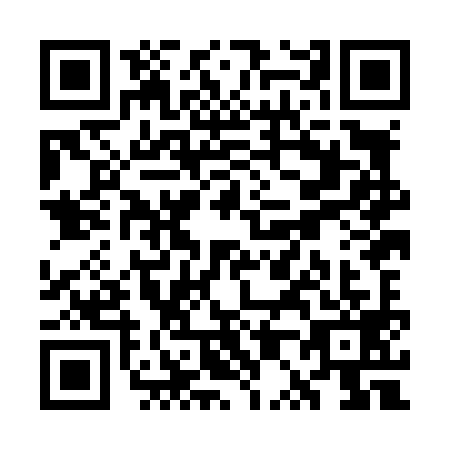 QR code for WP8-L993