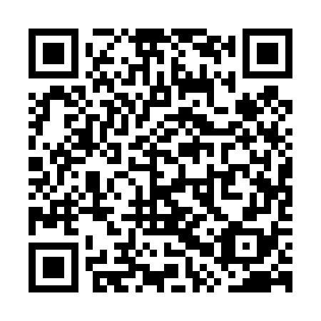 QR code for plate WPQ-478