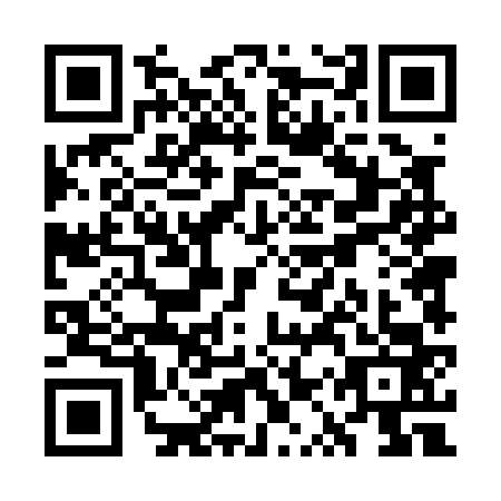 QR code for plate WQT-0638