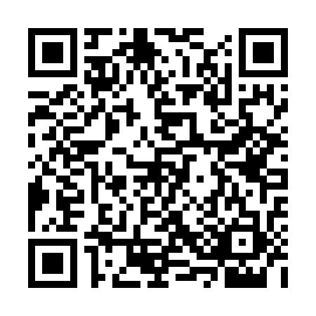 QR code for WS2-G333