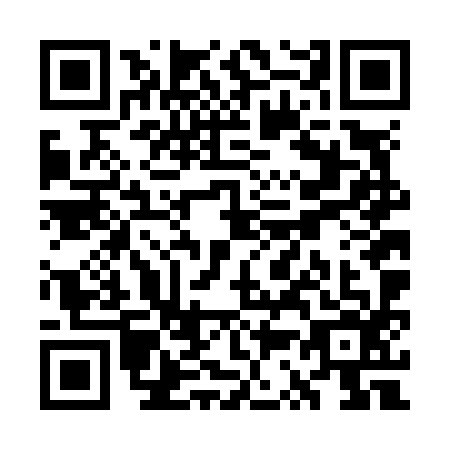 QR code for WS6-N963