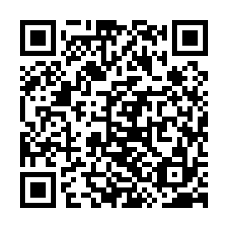 QR code for WSI-132