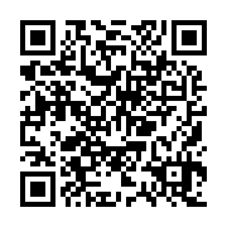 QR code for WSI-934
