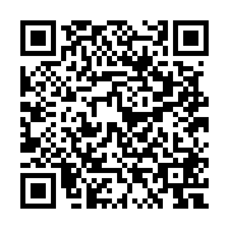 QR code for plate WT1-E489