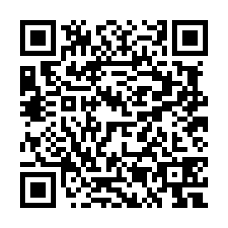 QR code for WU0L381