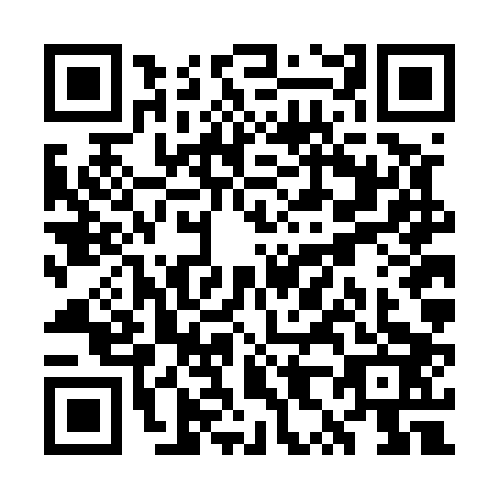 QR code for plate WX6-E036