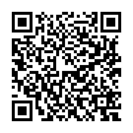 QR code for WX8-H295