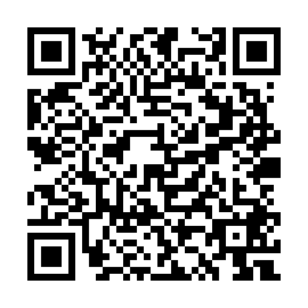 QR code for WZ8-V489