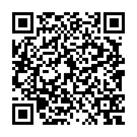 QR code for WZL-4762