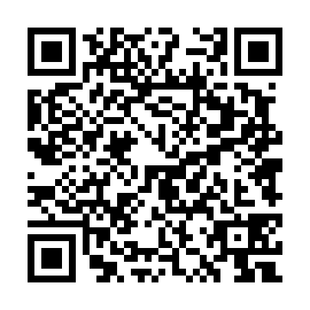 QR code for plate WZT-4381