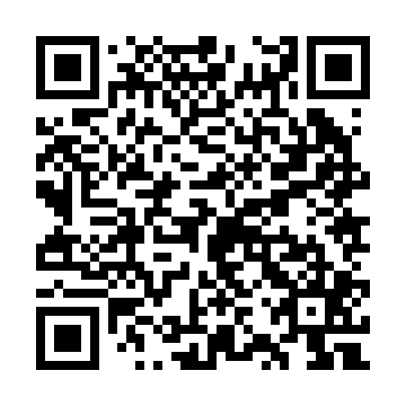 QR code for plate WZZ-205