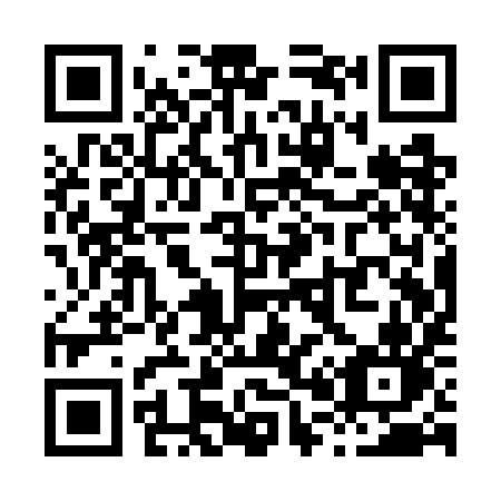 QR code for X01-WIN