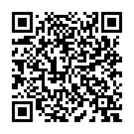 QR code for plate X01-IQQ