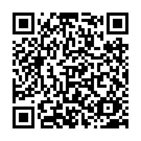 QR code for plate X06-BSO
