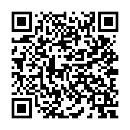 QR code for plate X08-VXX