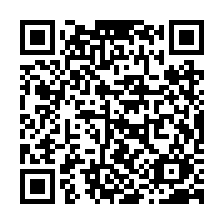 QR code for X11-RSO
