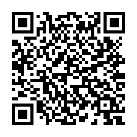 QR code for X12-ZZT
