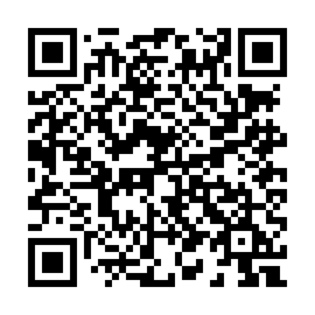 QR code for X12LEE