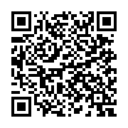 QR code for X17DHI