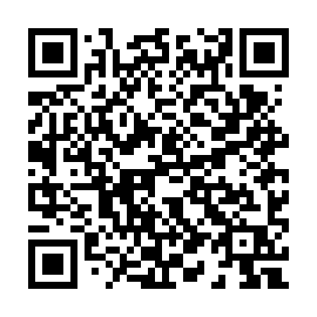 QR code for plate X17-FYP