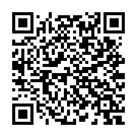 QR code for plate X17-VVL