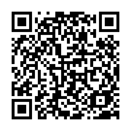QR code for X19-PIE