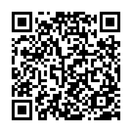 QR code for plate X19-CLU