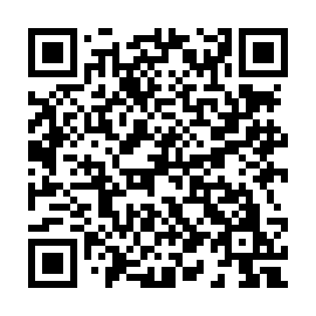QR code for plate X19-LCO