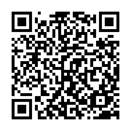 QR code for X28-ZYT