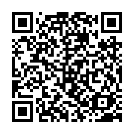 QR code for X29-BSK
