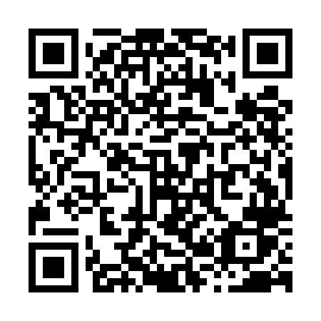 QR code for X29-ELR
