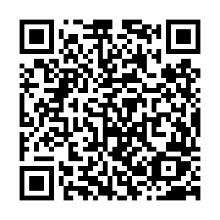 QR code for X29-TTZ