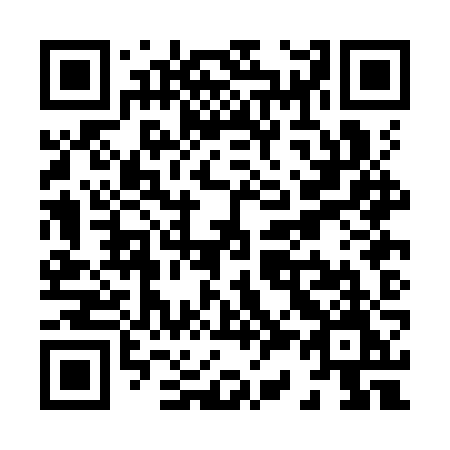 QR code for plate X30-KZM
