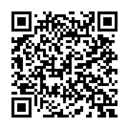 QR code for plate X31-DWD