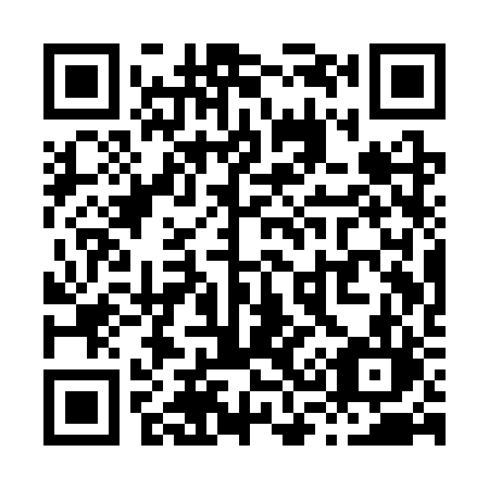 QR code for plate X31-SRL