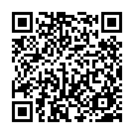 QR code for X37-PIG