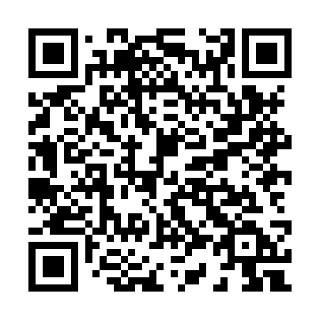 QR code for X38-HSD