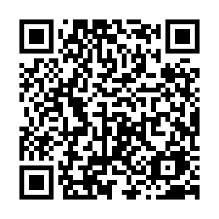 QR code for plate X38-XRE