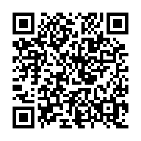 QR code for X46-BIL