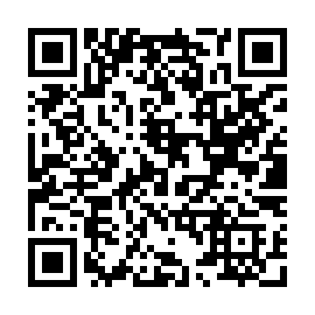 QR code for X46-XIC