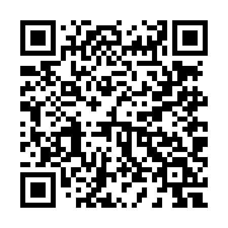 QR code for X46LHL