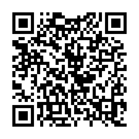 QR code for X51-HIK