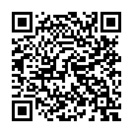 QR code for plate X53-HQN