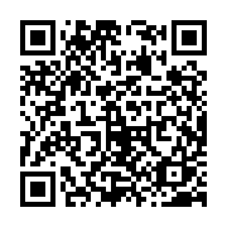 QR code for X60QQS