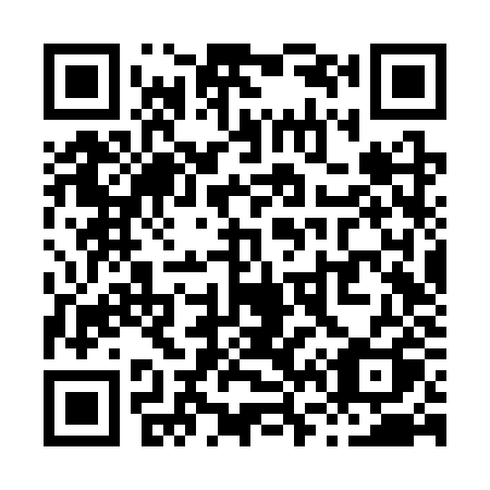 QR code for plate X66-SZQ