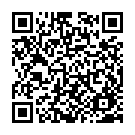 QR code for X91-MZD