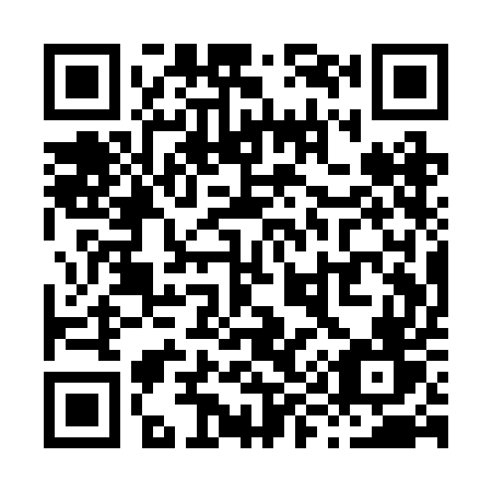 QR code for X91-REV